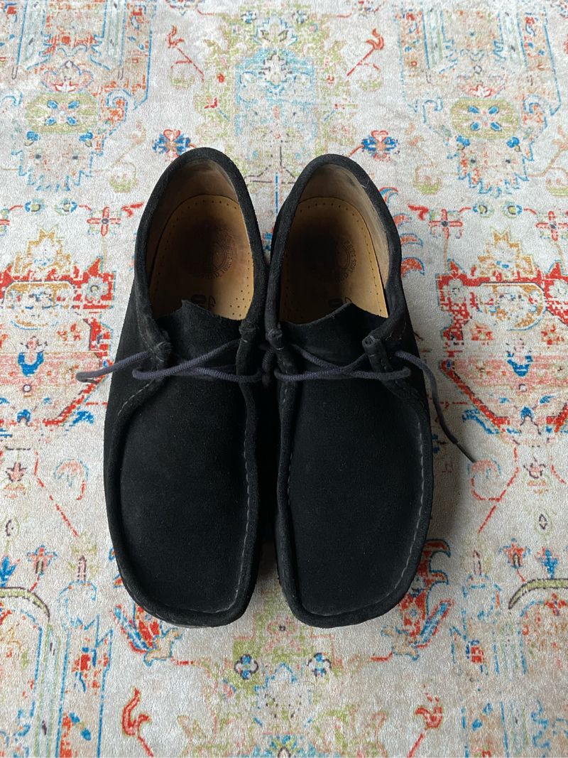 Clarks wallabe, foto 3