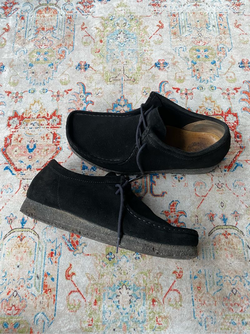 Clarks wallabe, foto 2