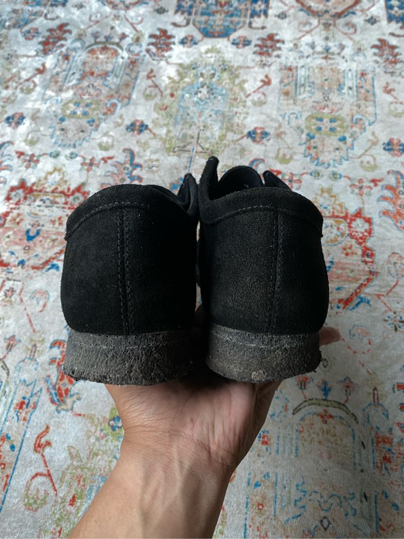 Clarks wallabe, foto 6