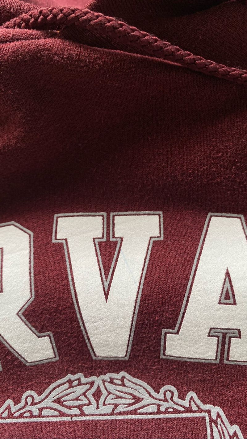 Hoodie champion harvard, foto 5