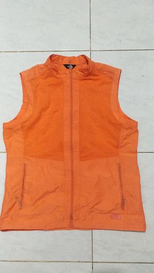 Vest the north face