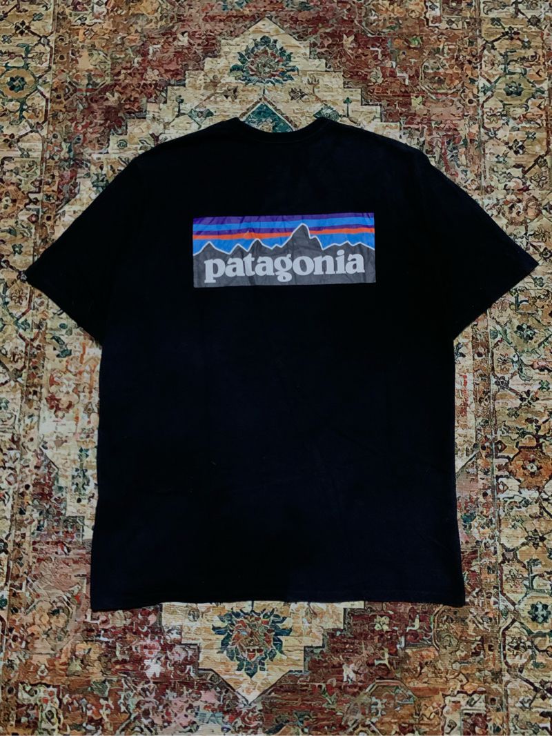 Tshirt Patagonia Logo Black, foto 5