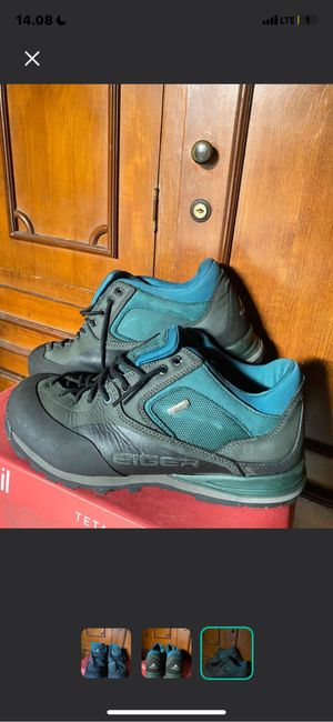 Sepatu tracking Eiger original