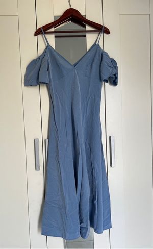 Zara dress