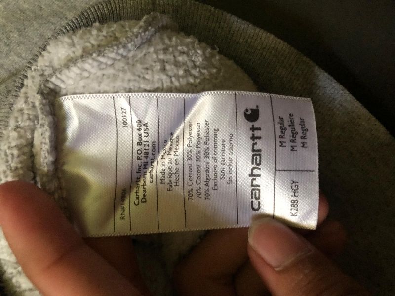 HOODIE CARHARTT SPELLOUT, foto 6