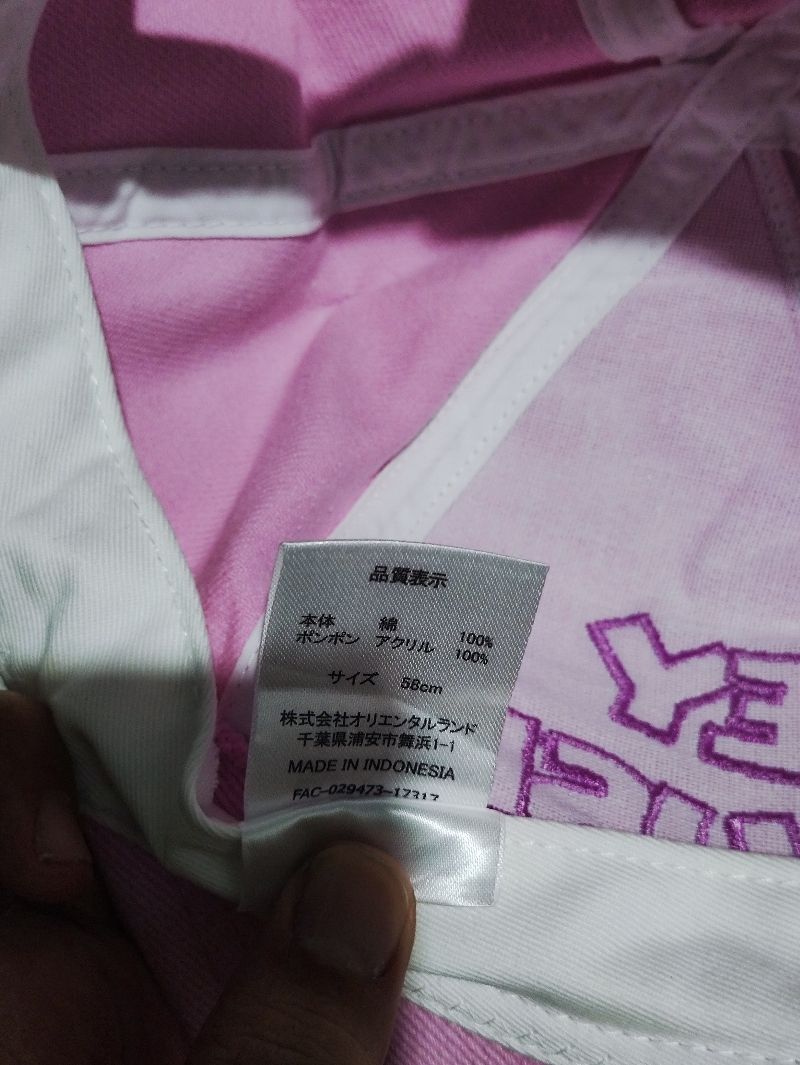 Topi Mickey Mouse (Disney Resort Tokyo), foto 6