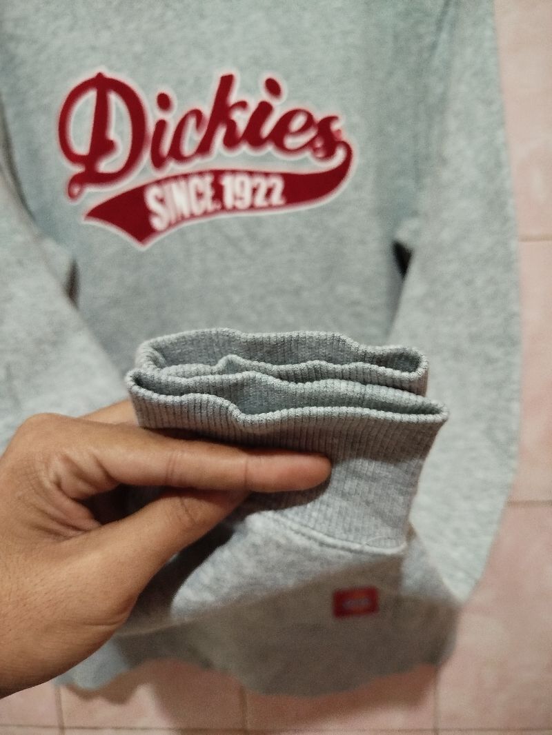 Hoodie dickies since velvet, foto 4