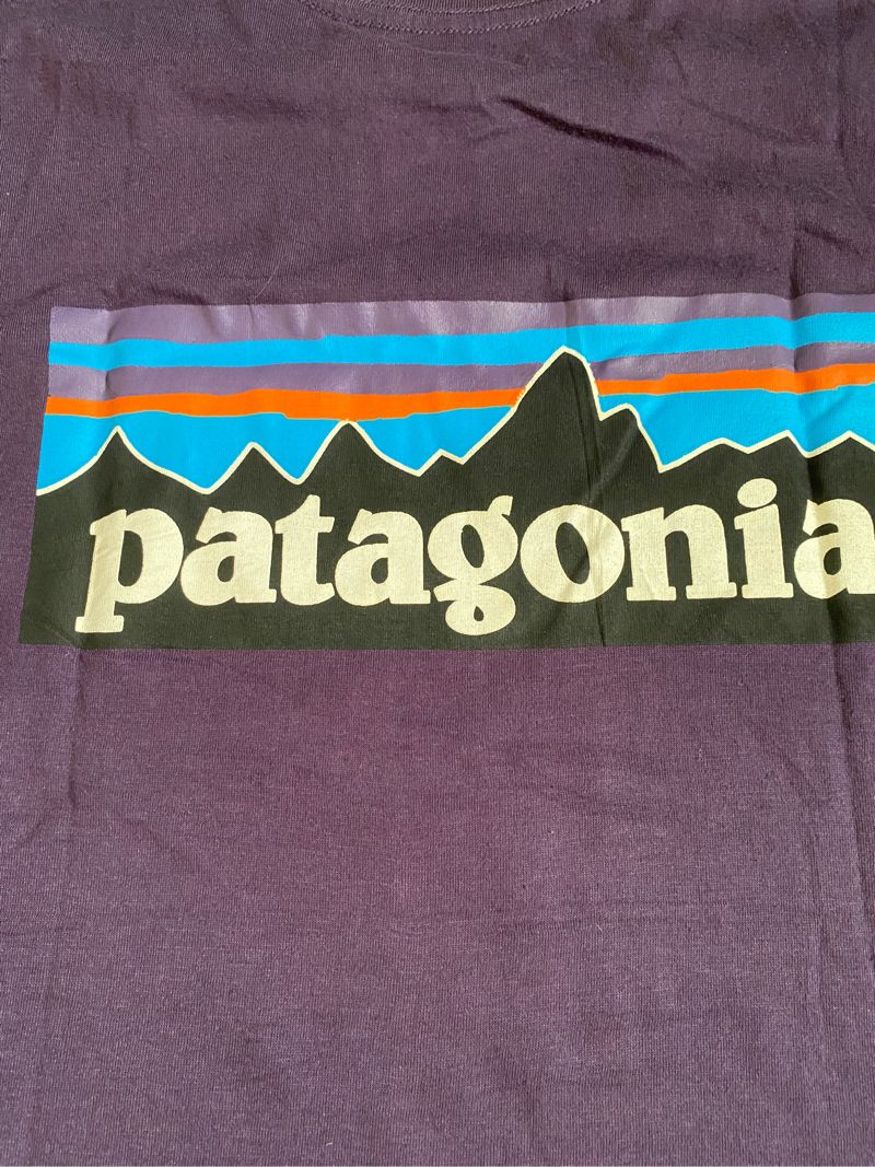 T-Shirt Patagonia, foto 3