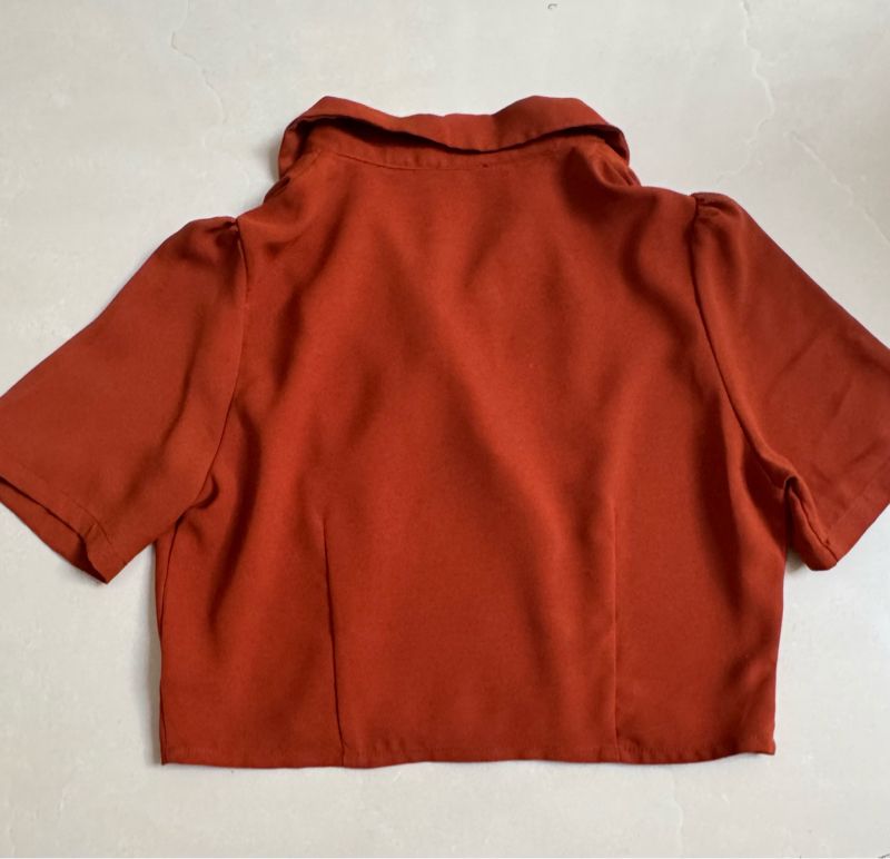 Something Borrowed Terracotta Crop Top, foto 5