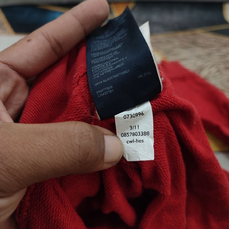 Hoodie Tommy Hilfiger, foto 8