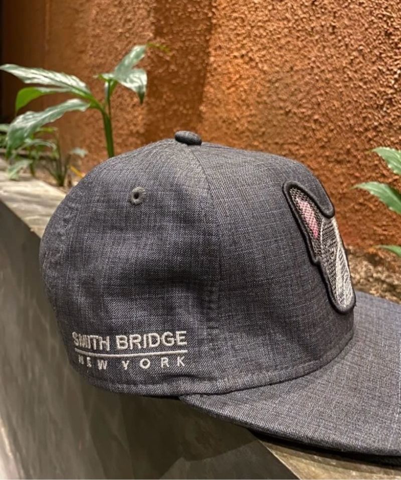 SMITH BRIDGE  NY SNAPBACK, foto 5