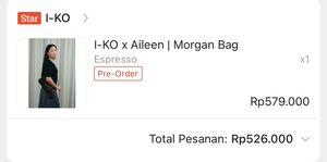 Preloved I-KO x Aileen | Morgan Bag (Espresso)