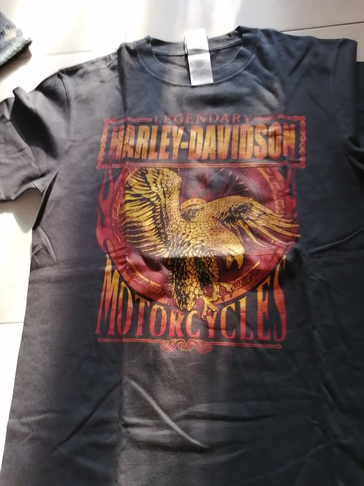 Harley Davidson Biker T-shirt Pria black