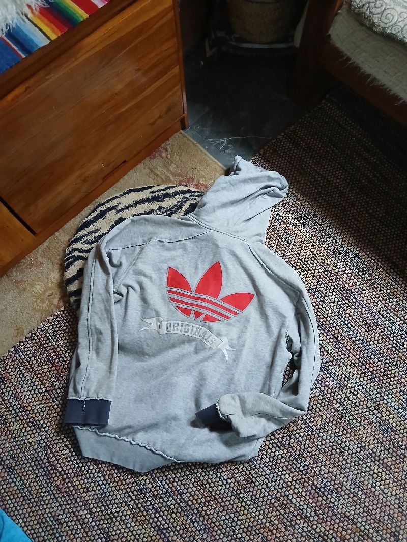Adidas Grapich Hoodie, foto 8