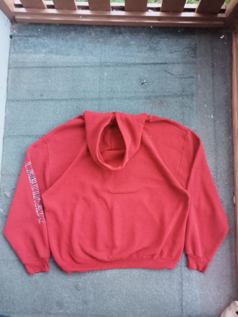 Hoodie Russell 2000s, foto 4
