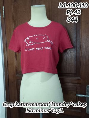Crop maroon cat