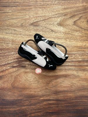 Puma bullet