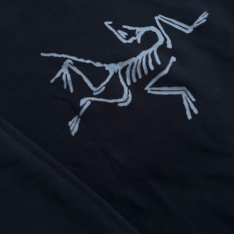 Arc’teryx Big Logo Y2K Black, foto 2