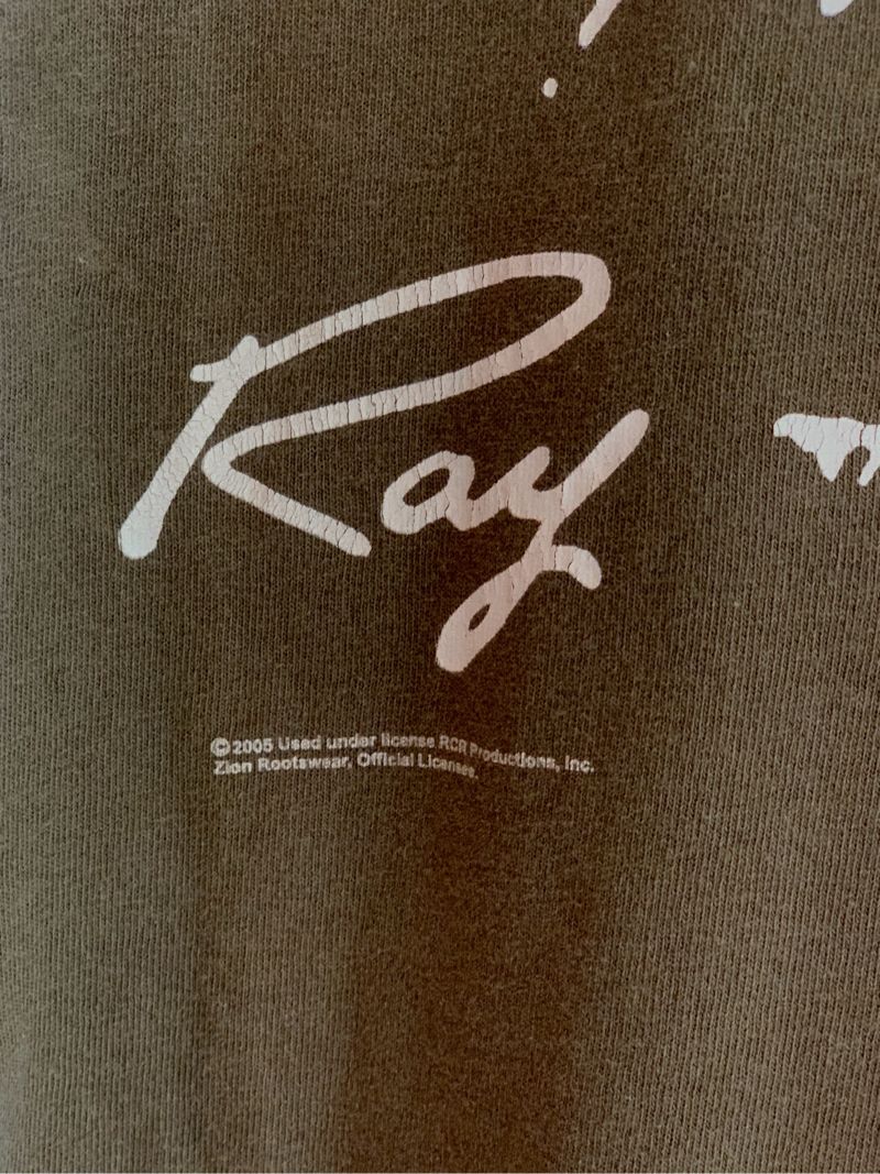 Ray Charles 2005 Zion, foto 4