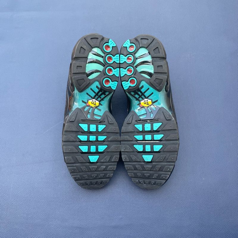 Nike Air Max Plus TN, foto 6