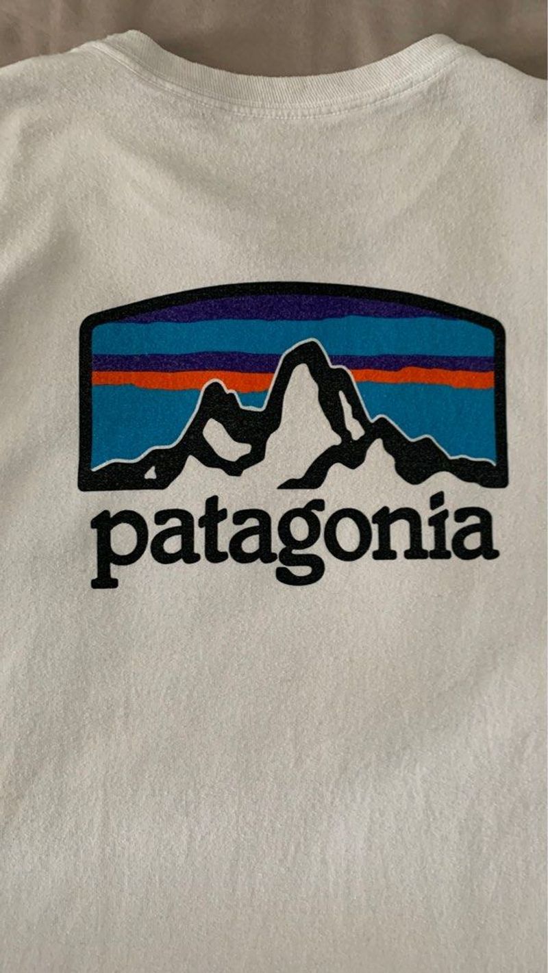 Patagonia Tshirt, foto 2