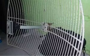Antena Grid Kenbotong Asli Original 100%