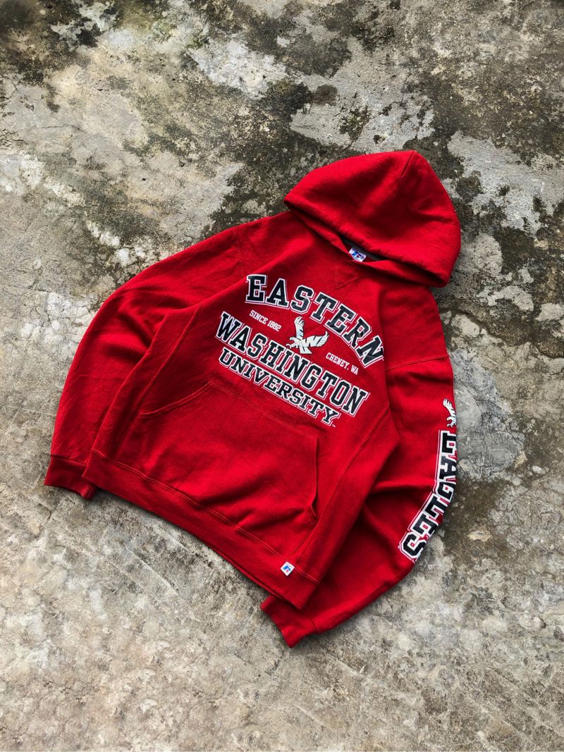 Hoodie Russel Athletic, foto 2