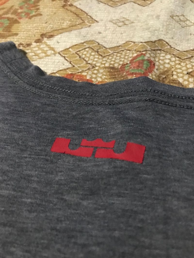Nike Lebron james lion tee "Orbis Non Sufficit" grey, foto 3