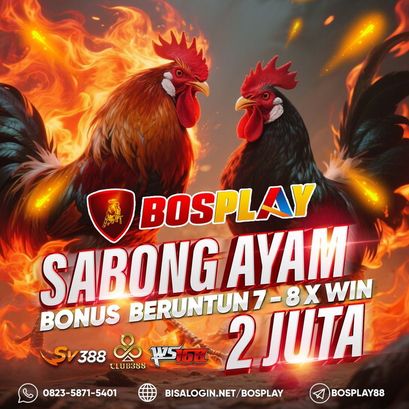 Boplay Daftar Club388, foto 8