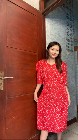 Red Dress Vintage