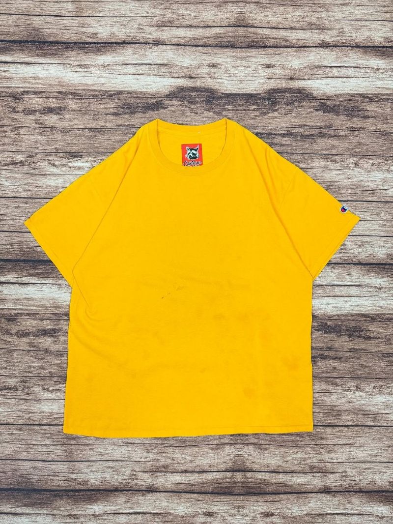 champion basic tshirt #JLTS173, foto 2
