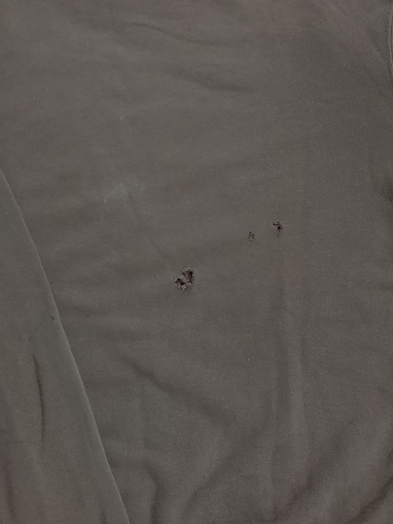 CARHARTT WIP SWEATSHIRT, foto 3