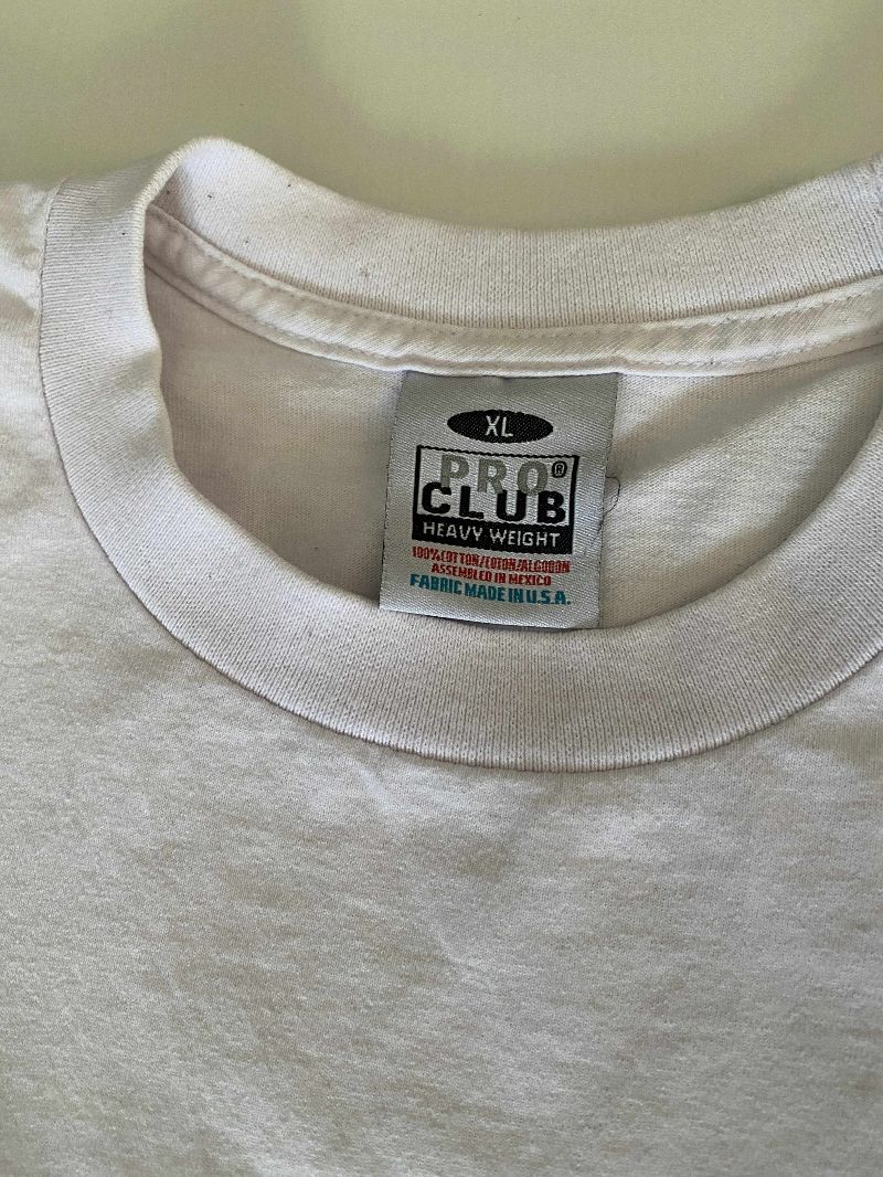 KAOS TSHIRT PRO CLUB BLANK TEE, foto 2