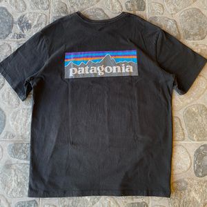 Patagonia tshirt