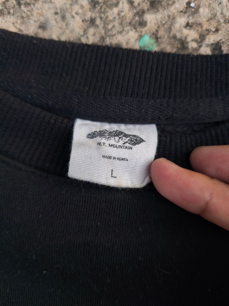 SWEETSHIRTS W.T MOUNTAIN, foto 4