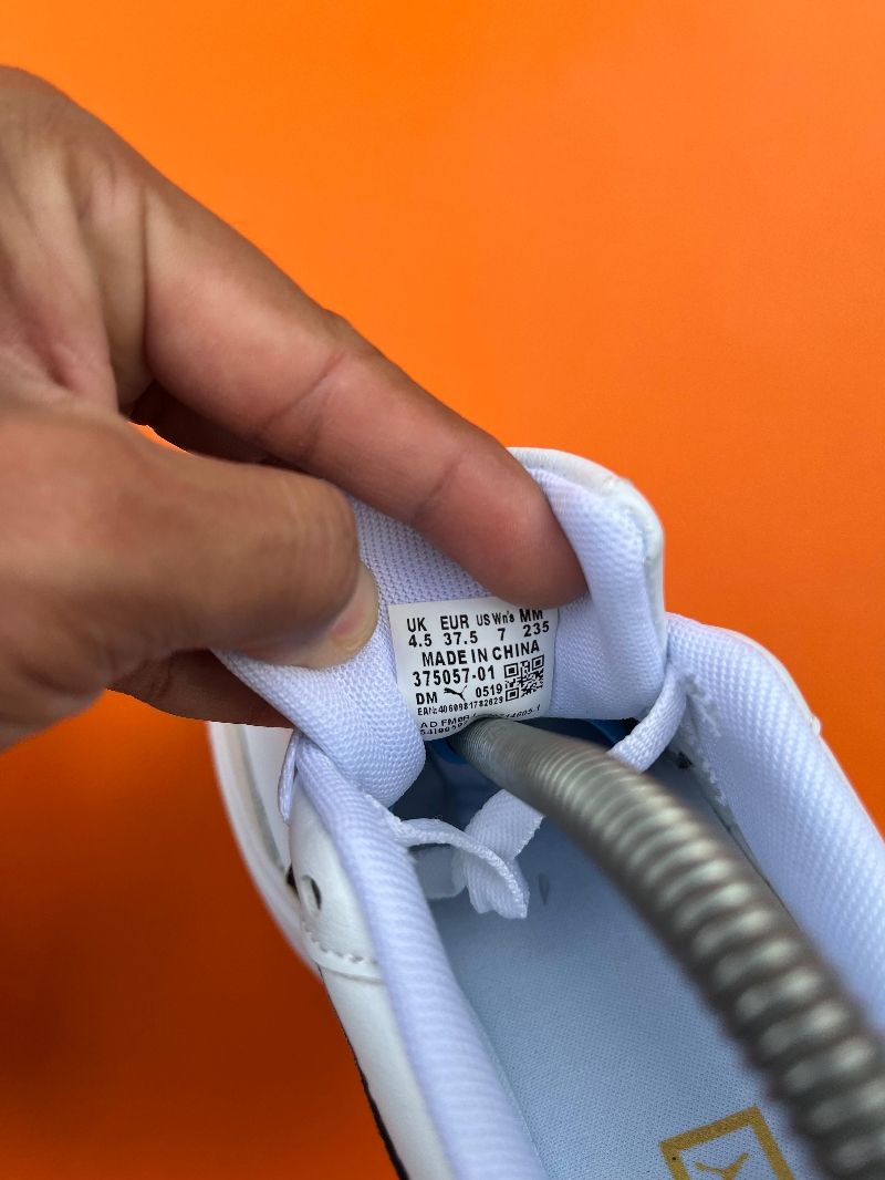 Puma oslo, foto 2