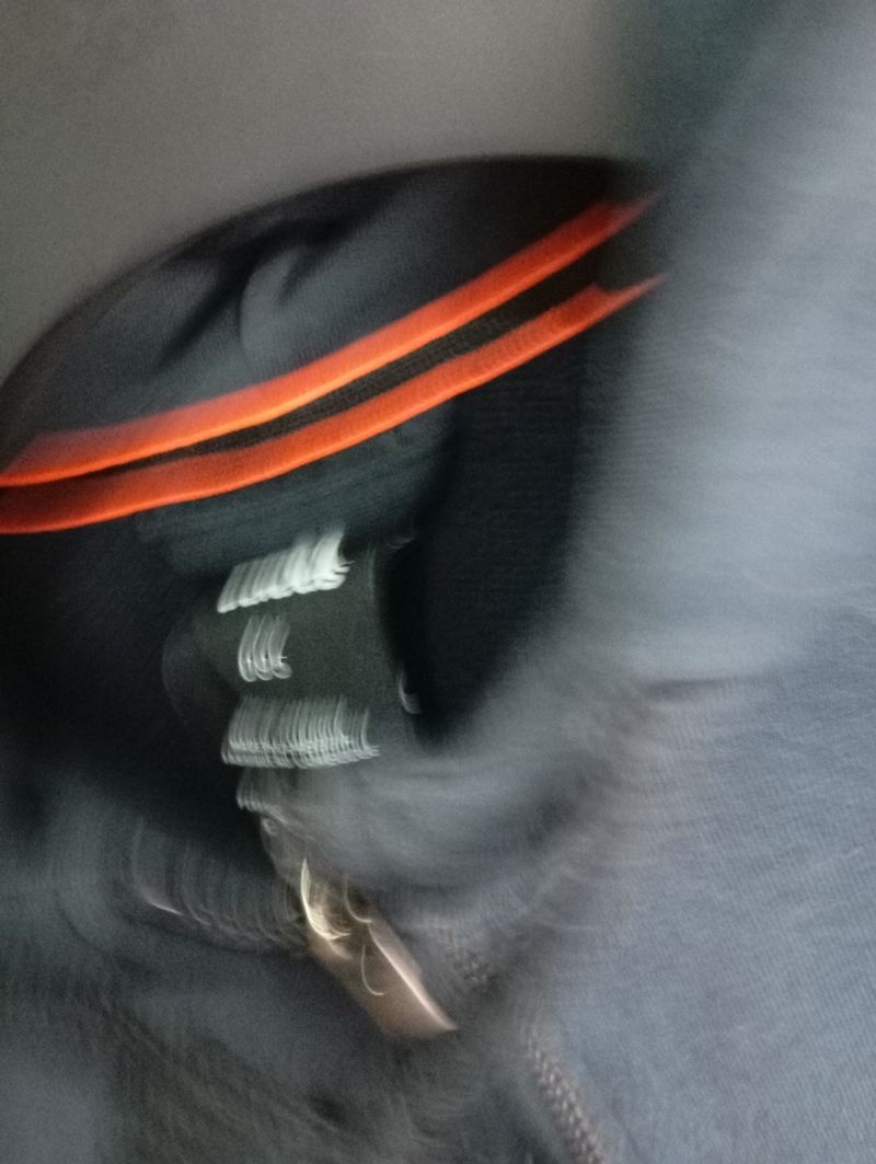 ZIPHOODIE ADIDAS ESSENTIALS, foto 2