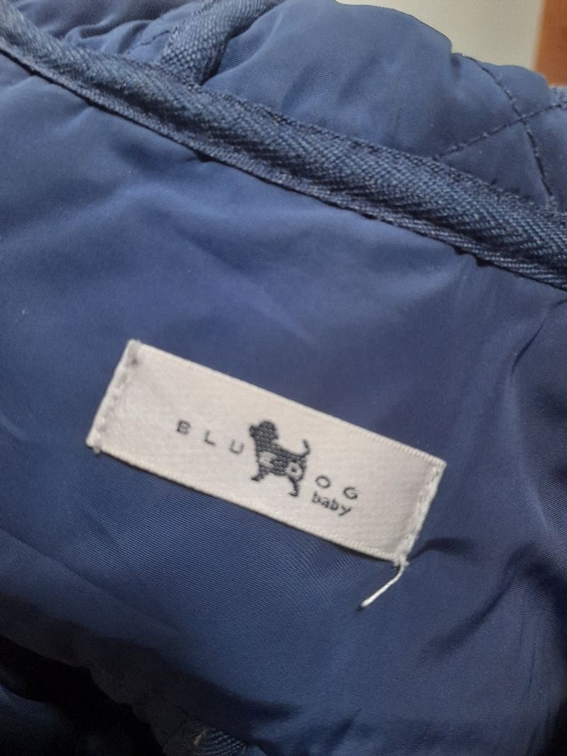 Bluedog jaket anak 2nd original, foto 4