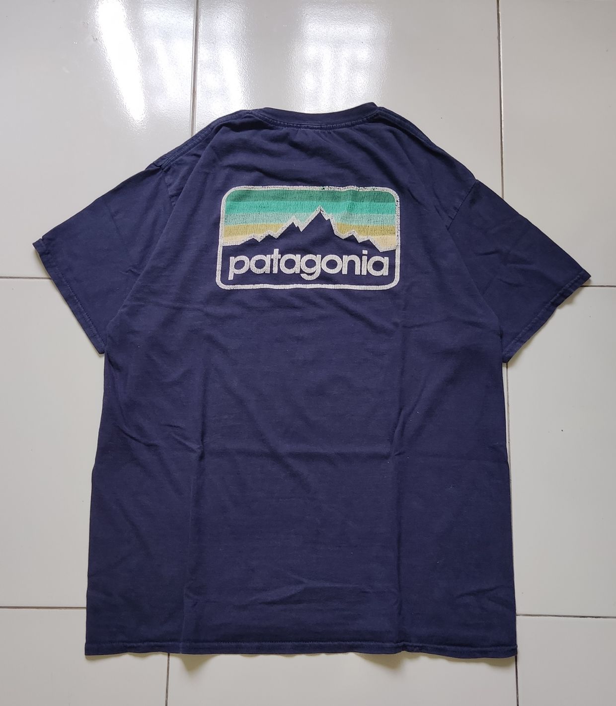 Patagonia Casual T-shirt Pria navy