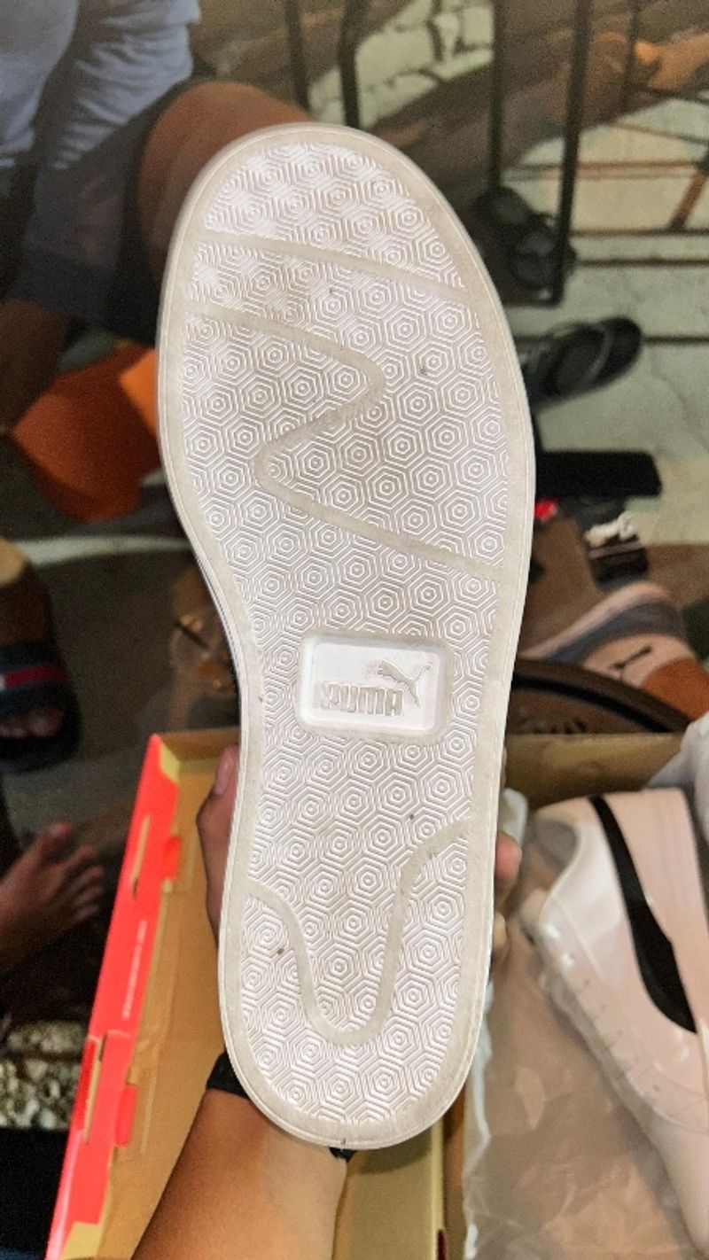 puma, foto 3