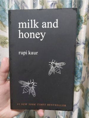 Milk and Honey by Rupi Kaur English Version very good condit