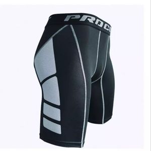 Pro combat short celana pendek pro combat gym running dll