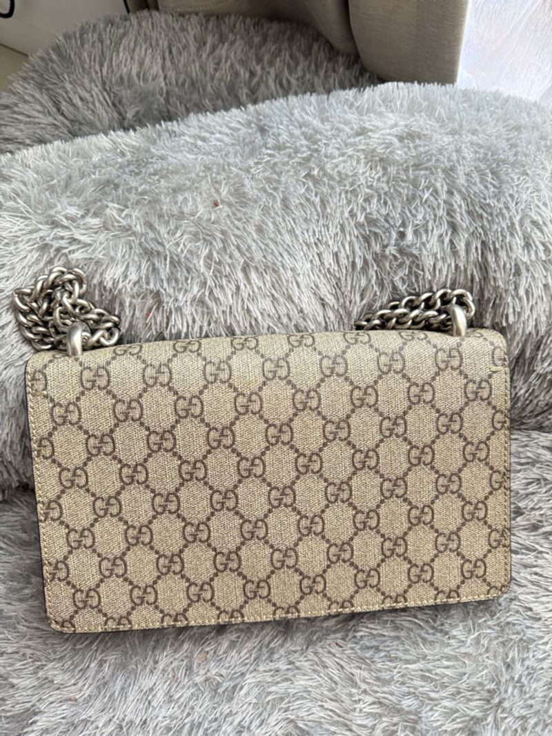 Gucci dynosius, foto 4