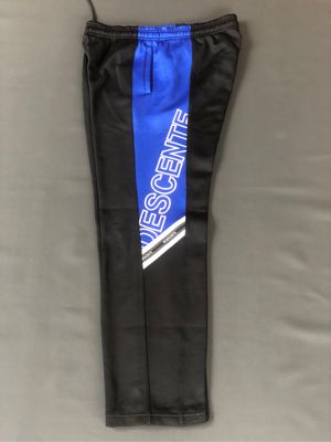 Descente Streetwear Sportswear Tracksuit Pria blue black