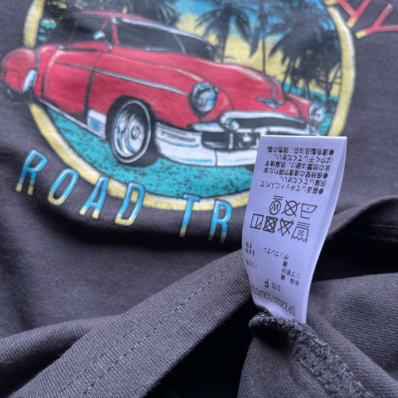 DISCOAT Japan Gray Heavy Cotton Printed Tee, foto 5