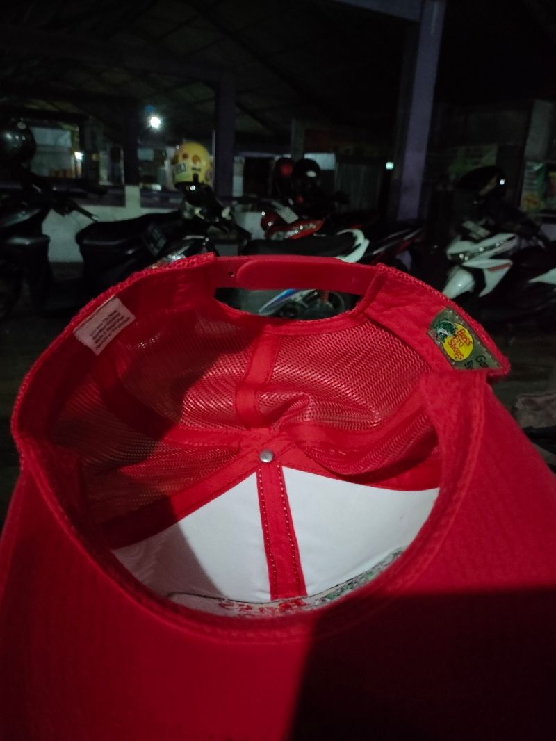 Topi Trucker Jaring Bass pro, foto 4