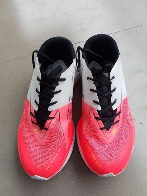 Specs Ignition (running)