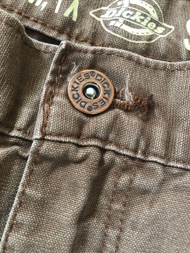 Dickies carpenter, foto 5