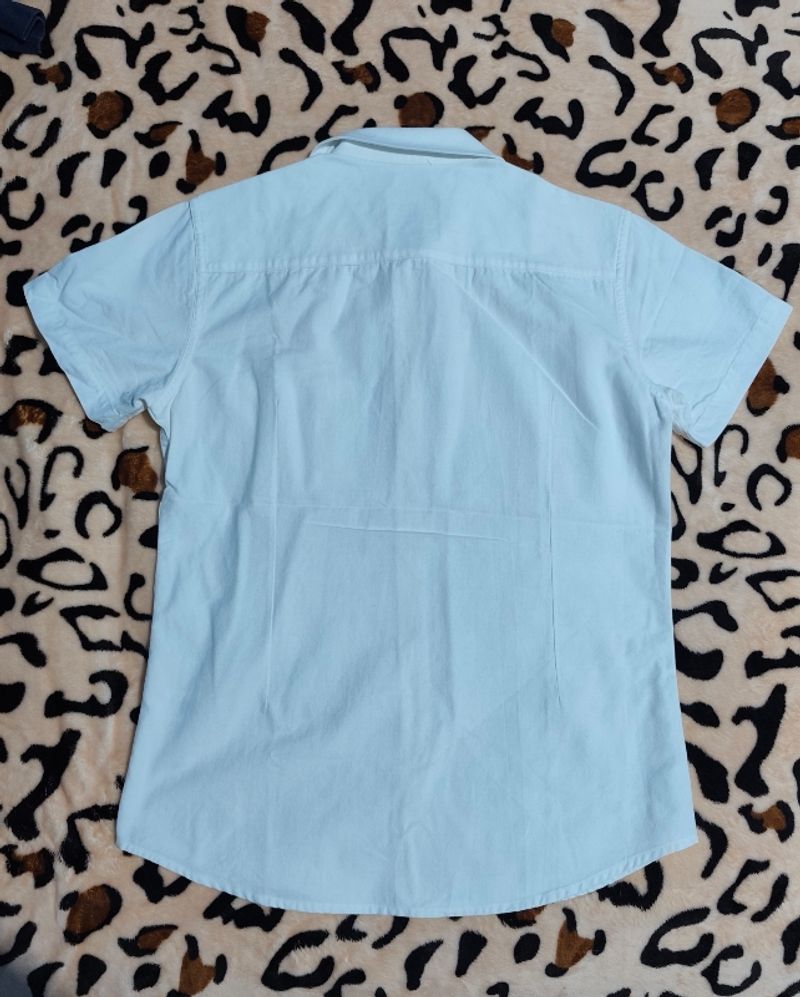 Kenzo, foto 2