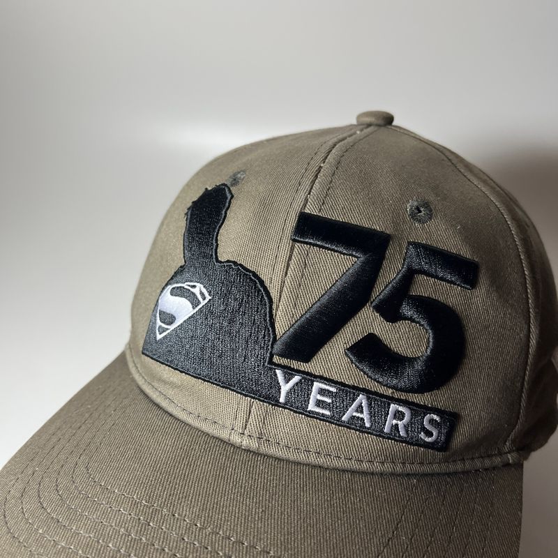 Topi Superman Flexfit Caps, foto 2